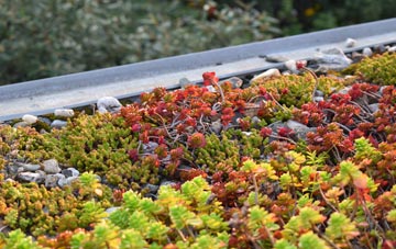 the cost of Tilney High End green roof installation