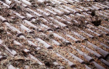 Tilney High End roof cleaning companies