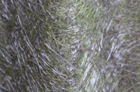 Tilney High End fibreglass roof work